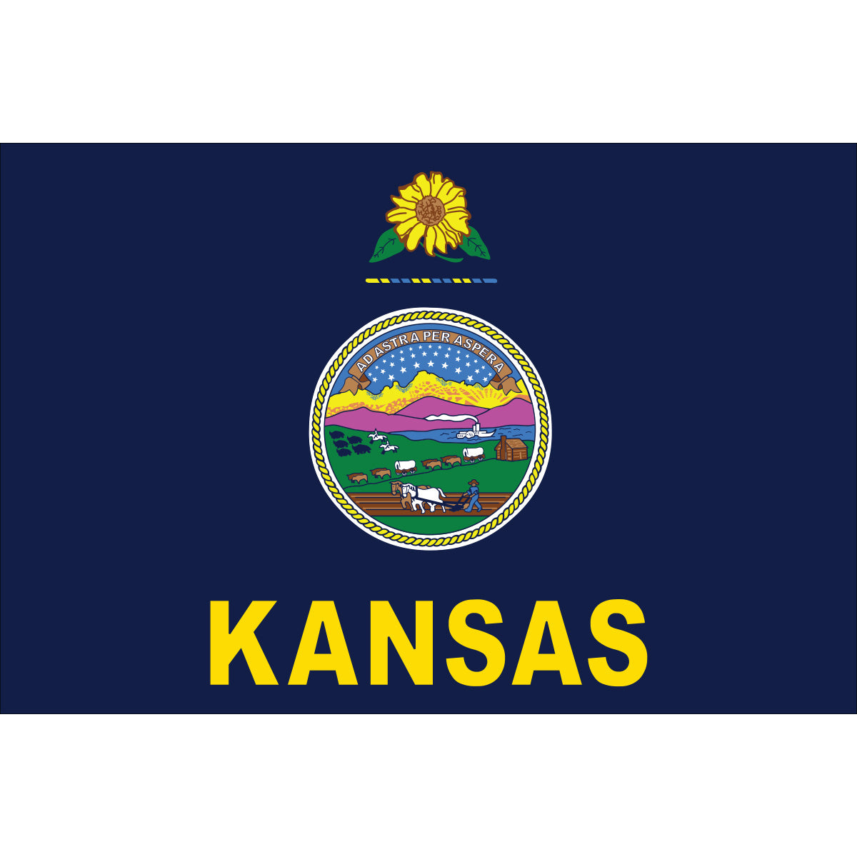 Kansas Flag